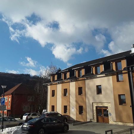 Apartman Lipa, Loučná nad Desnou Екстериор снимка
