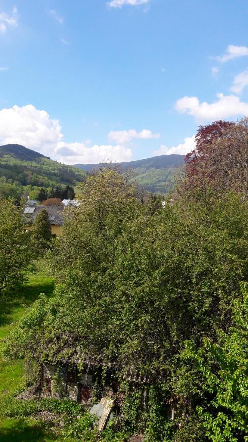 Apartman Lipa, Loučná nad Desnou Екстериор снимка